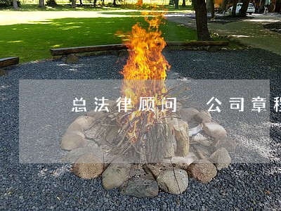 总法律顾问 公司章程 总法律顾问 公司章程